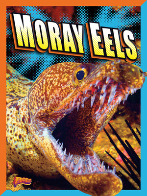 cover image of Moray Eels